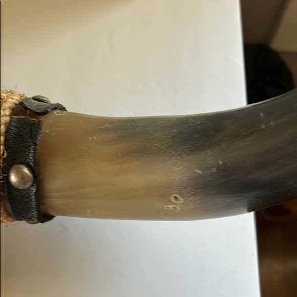 Decorative Wall-Mounted Bull Horns - Picture 9 of 9